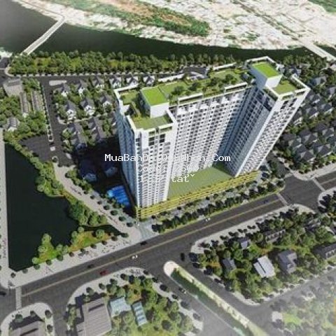 Bán căn hộ ecolife riverside đầu tiên ở quy nhơn
