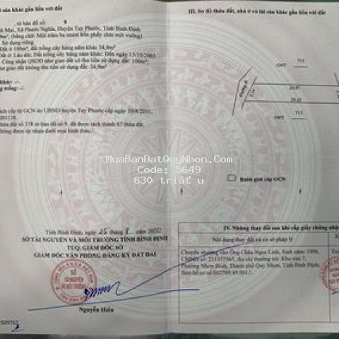 Bán đất