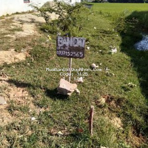 Bán đất ân nhân phước thuận tt tuy phước