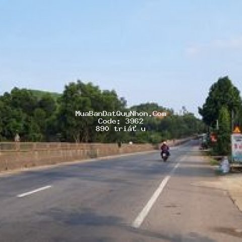 Bán đất mt quốc lộ 1a tại hoài đức,hoài nhơn,bđ.