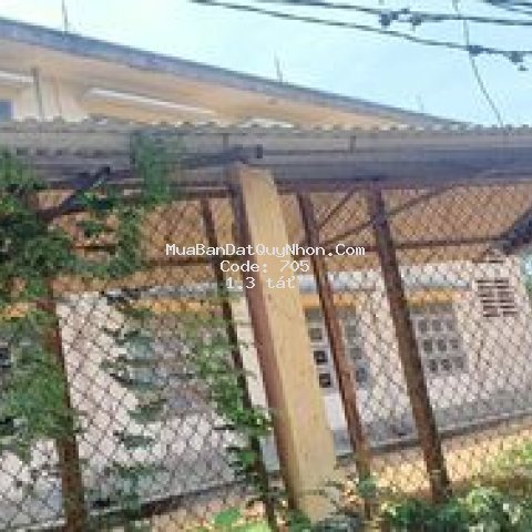 Bán lô đất 8x20 nhánh đường trần phú