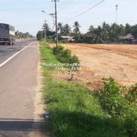 Bán lô đất mới đấu giá mặt tiền quốc lộ 1a,mỹ hiep