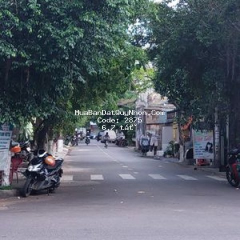 Bán nhà cấp 4 đường đào duy từ, quy nhơn Bán nhà cấp 4 đường đào duy từ, quy nhơn
