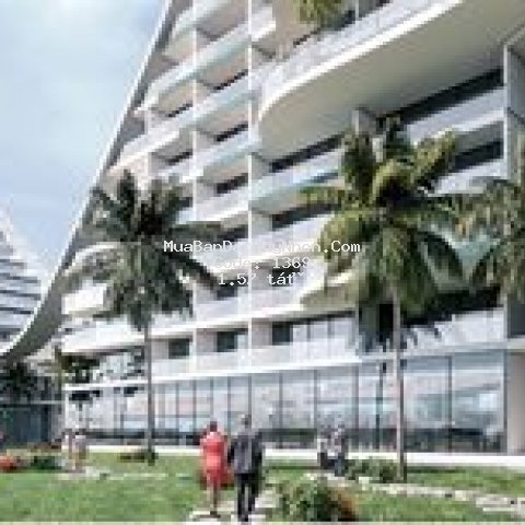 Cần bán lỗ căn hộ khách sạn 5 sao the costal hill