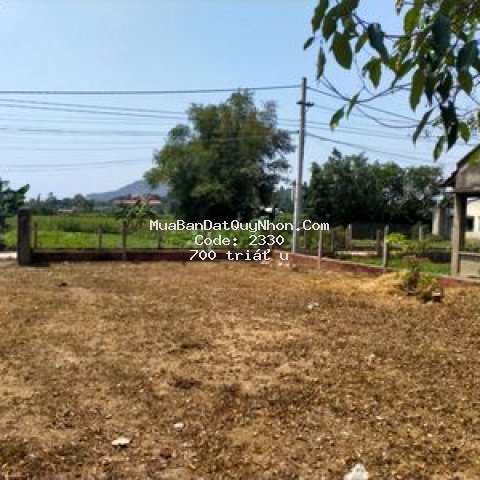 Cần bán lô tháp bánh ít phước hiệp 300m2