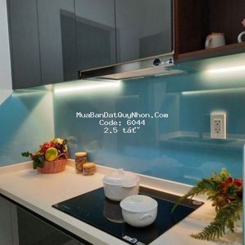 Căn hộ chất lượng, tiện ích 5 sao tại quy nhơn
