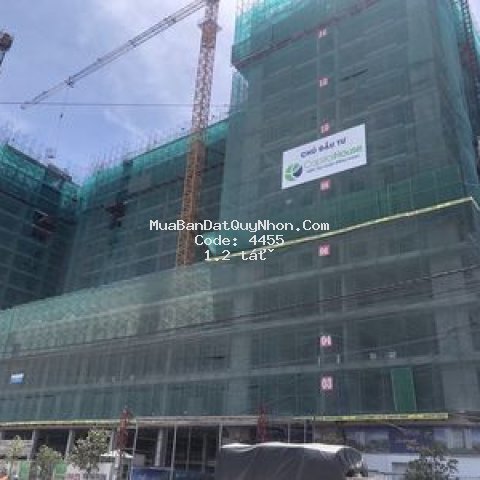 Căn hộ ecolife-giá 700 triệu-sổ hồng lâu dài