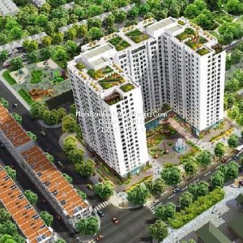 Căn hộ ecolife riverside dành cho gia đình