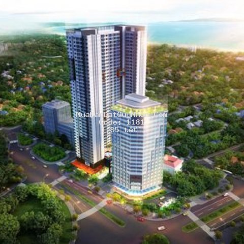 Căn hộ grand center quy nhơn 50m² 1pn