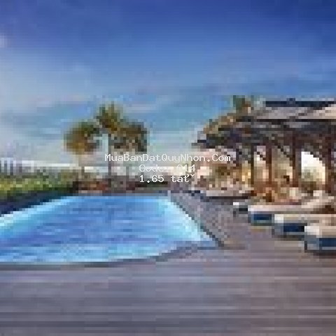 Căn hộ mặt biển quy nhơn đầu tư dài hạn