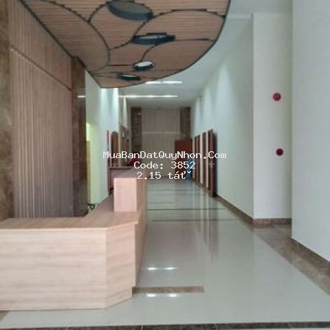 Căn hộ tms, tầng 22, 57m2, view biển đẹp lung linh