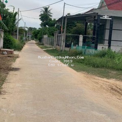 Cần tiền bán gấp đất