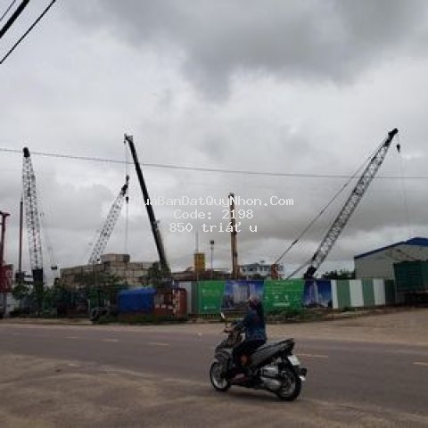 Chỉ có thể là ecolife  mở bán dự án  tp. quy nhơn