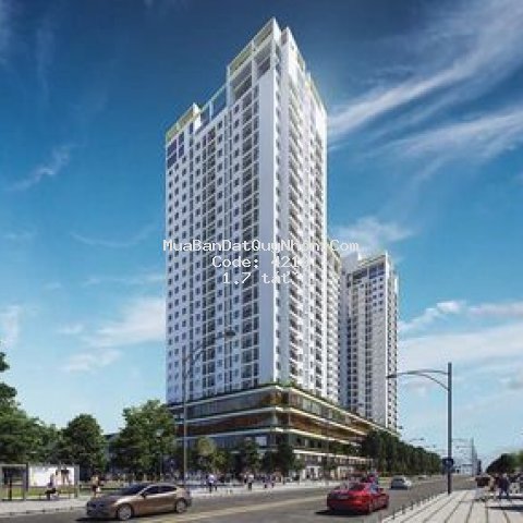 Chiết khấu 8% khi mua căn hộ ecolife quy nhơn