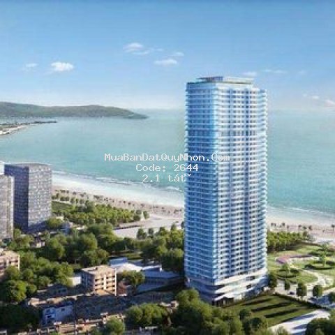 Chính chủ cần bán gấp căn hộ tms view biển quynhon