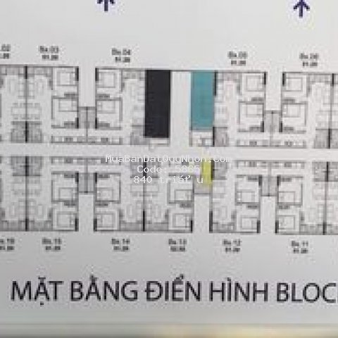 Chính chủ sang nhượng chung cư lammer giá rẻ
