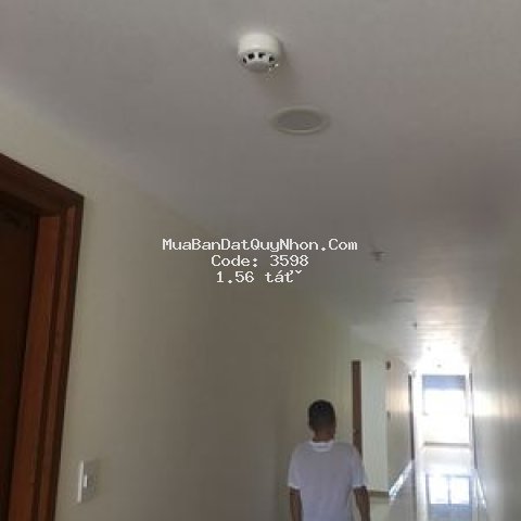 Chung cư cận cao cấp thịnh phát tower quy nhơn