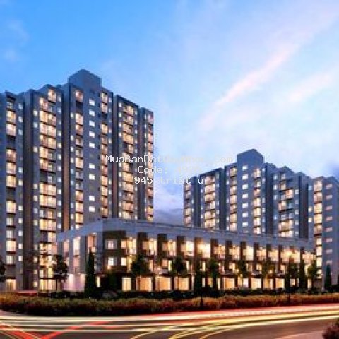 Chung cư lamer 2 . đường tây sơn . sổ đỏ lâu dài