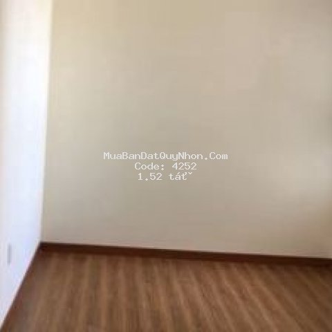 Chung cư thịnh phát tower 65m² 2 pn đường t niên