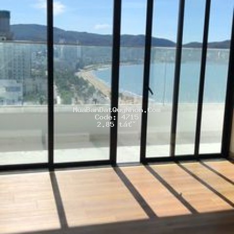 Chung cư tms luxury quy nhơn 66.47m² 2pn