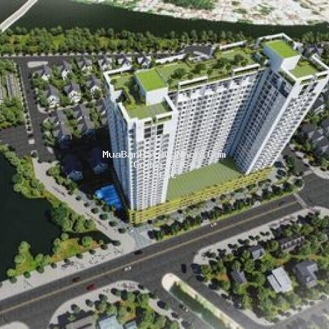 Chuung cư ecolife quy nhơn