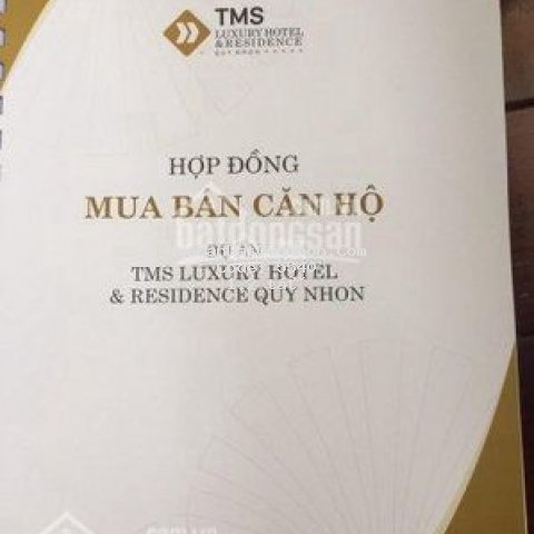 Chuyển nhượng căn 67m2 tms giá thấp nhất hiện nay