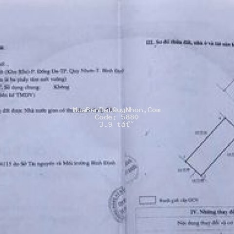 đấ𝐭 𝐦ặ𝐭 𝐭𝐢ề𝐧 đườ𝐧𝐠 𝐍𝐠𝐮𝐲ê𝐧 𝐇ồ𝐧𝐠