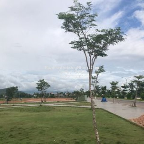 đất 113m2 ngang 6m đối diện thcs đập đá, an nhơn