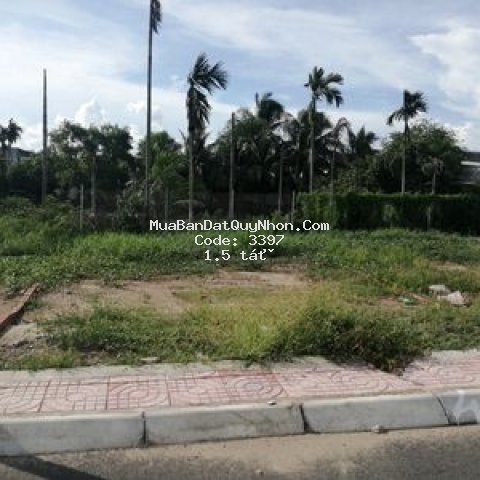 đất biển quy nhơn- sở hữu lâu dài- sổ đỏ riêng.