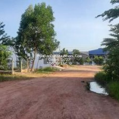 đất cần bán.
