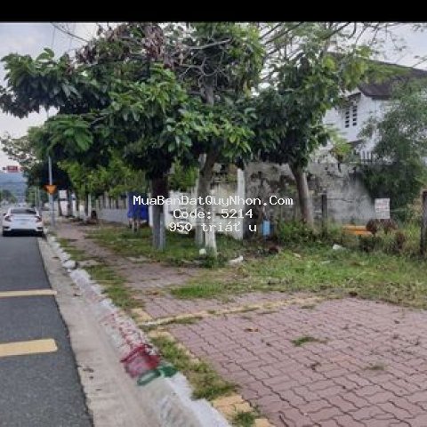 đất cần sang nhượng gấp !!!