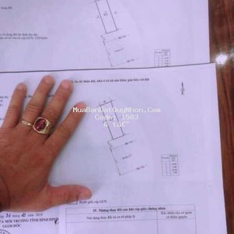 đất khu đại phú gia thành phố qui nhơn 80m²