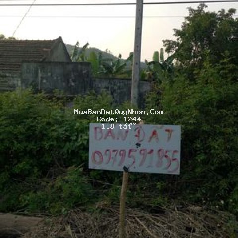 đất mặt đường quốc lộ 19c ngang 28 dài 18