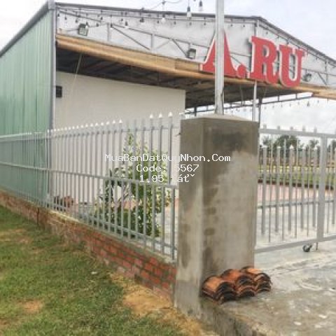 đất nền sổ đỏ cát khánh 300m²