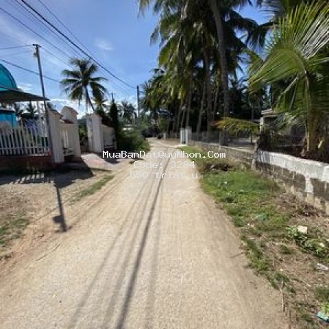 đất ở