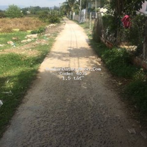 đất phước hoà gần khu tái định cư xã nhơn hộ