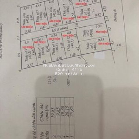 đất phường trần quang diệu quy nhơn 40m2 n4