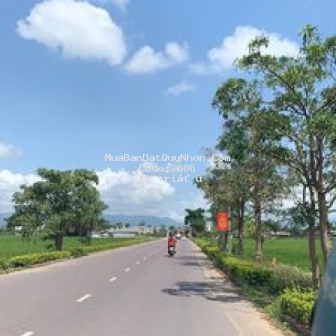 đất sổ đỏ vùng ven bình định, đường 5m, chỉ 390tr