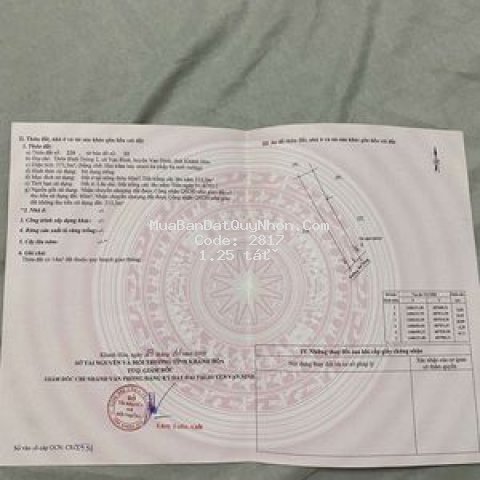 đất tái định cư 100m2 my dien, tt tuy phuoc