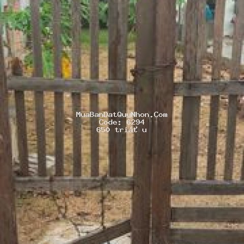 đất thành phố qui nhơn 205m² 650 triệu
