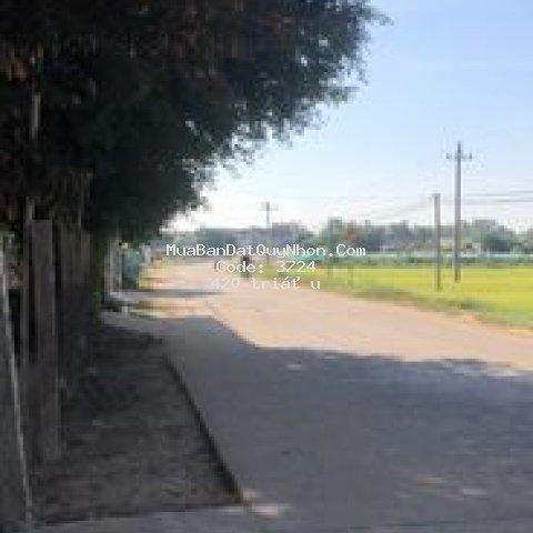 đất thị xã an nhơn mặt sau đường qlo 19 136m²
