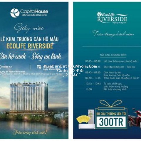 🍁lễ khai trương căn hộ mẫu #ecoliferiverside quy