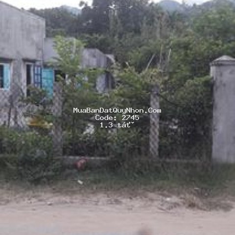 Lô đất nằm khu gần chùa ông núi 150m2/giá 1,3 tỷ