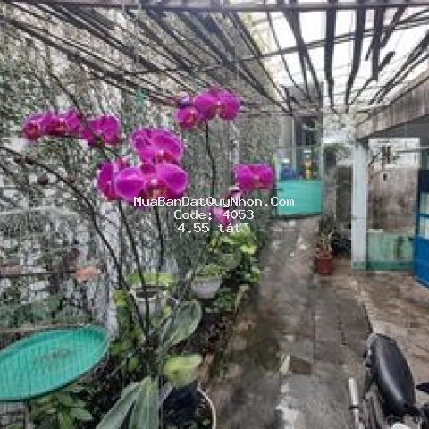 Nhà cần bán, nằm trên diện tích đất rộng 157m2