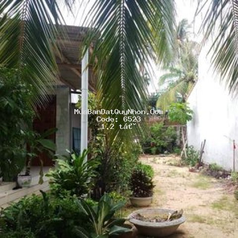 Nhà cấp 4 đẹp thạnh xuân bắc, hoài hương,bd.