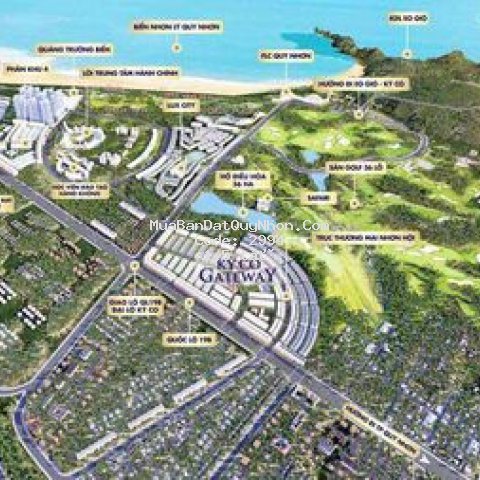 Nợ dí, cần để lại đất, sổ riêng, ỏ qui nhơn