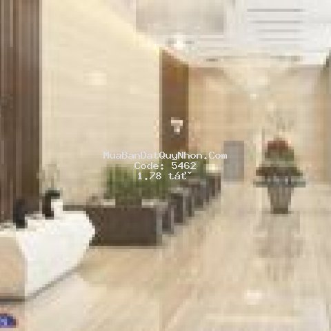 Sen vàng bên hồ ngọc chung cư phú tài