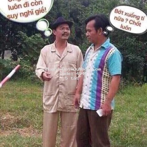 Thành phố qui nhơn-mt phạm thị đào