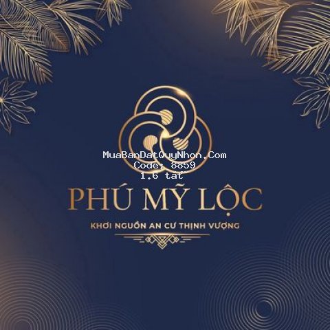 20 suất đất nền tam quan, bình định giá siêu tốt