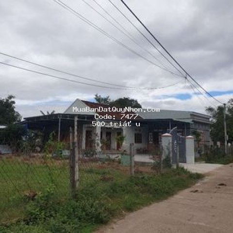 Bán 100m2 đất thổ cư gần quốc lộ 1a phù cát